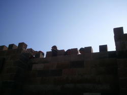 2011_12_10_11.08.55.jpg