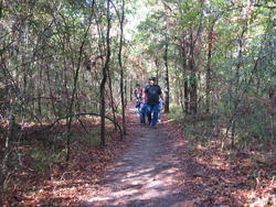 Purtis_Creek_Oct_2011__17_.jpg